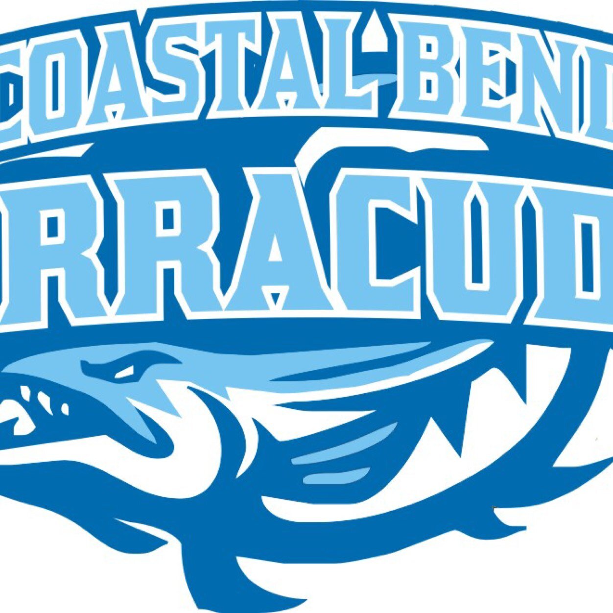 Baseball organization created to give the opportunity to play baseball at the next level.