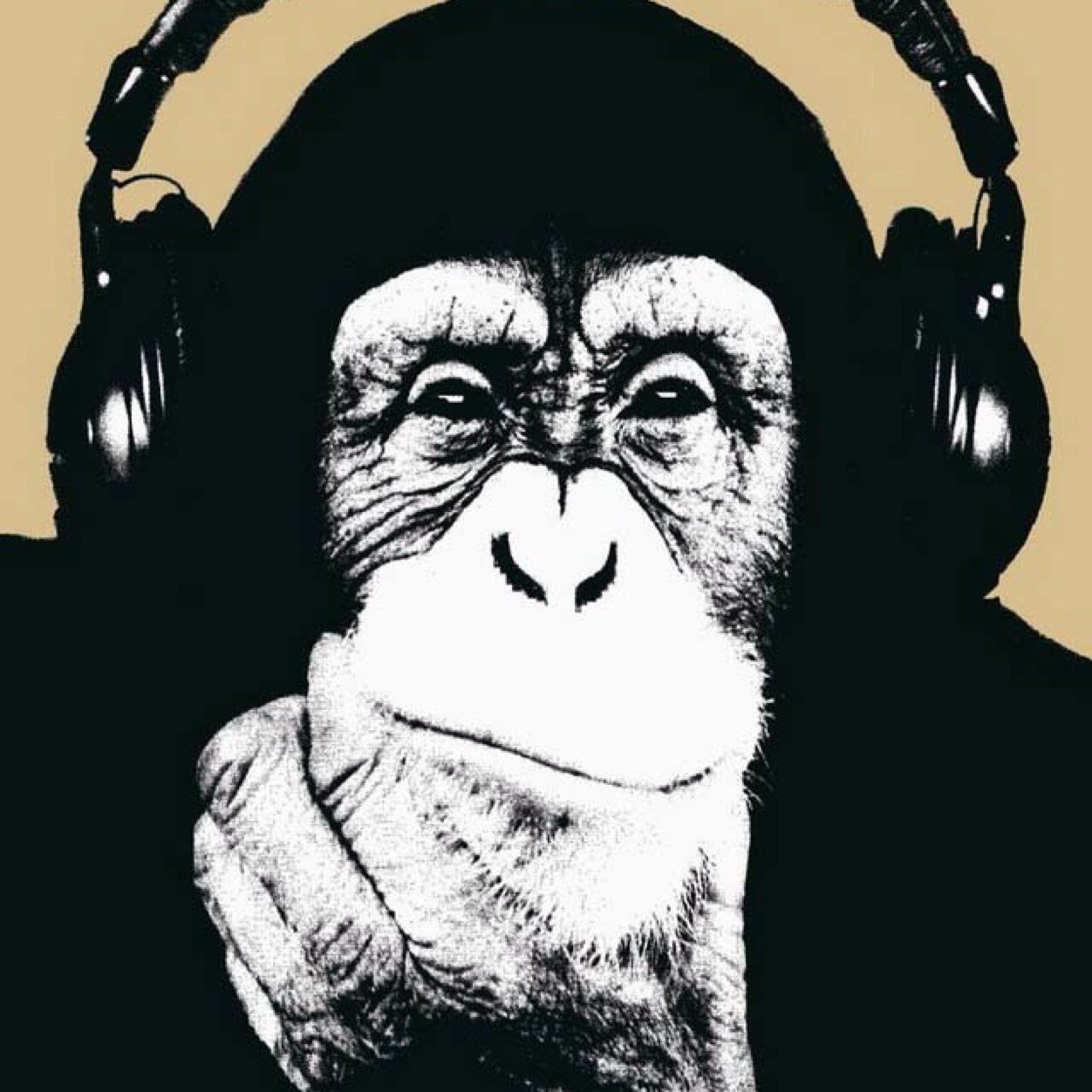 fuentesfbe's profile picture. 