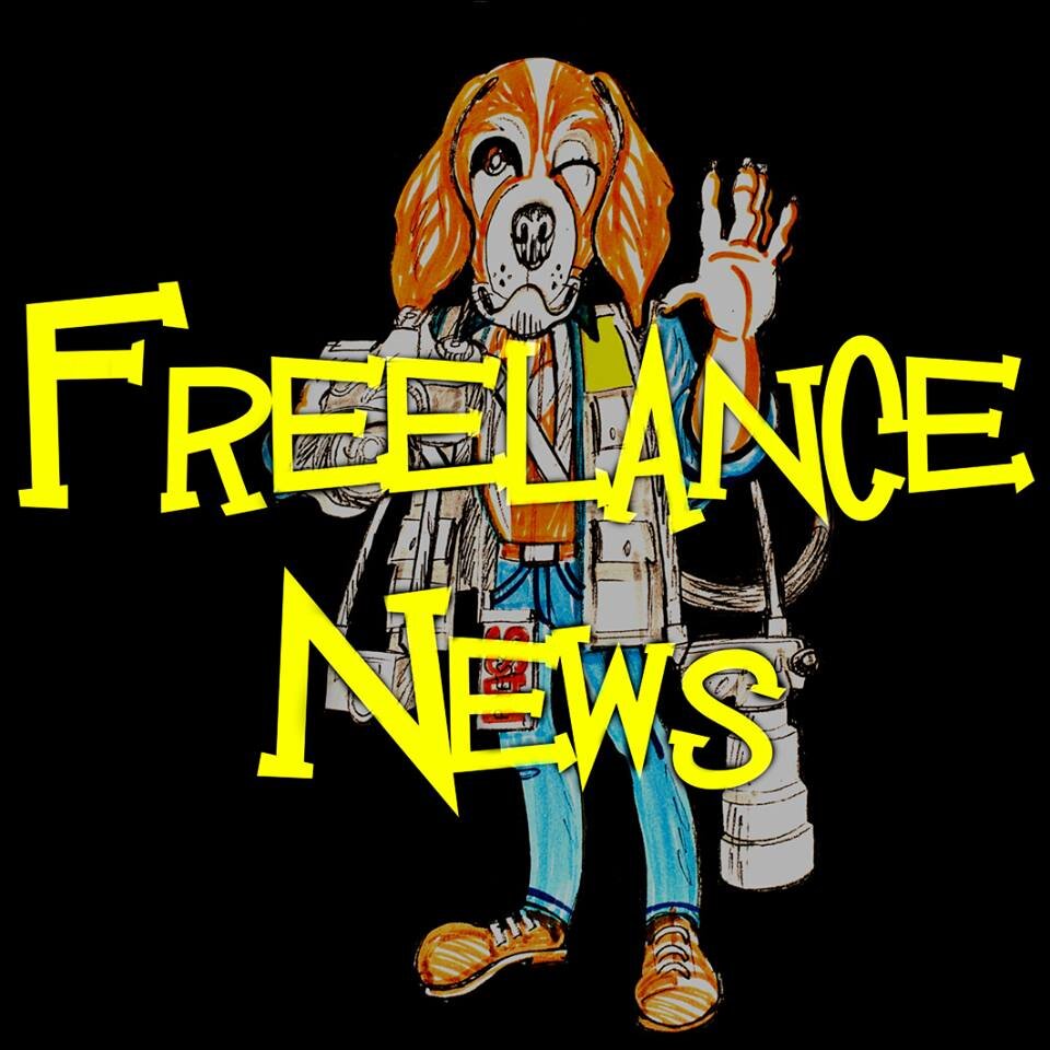 FreelanceNewsIt's profile picture. Freelance News è informazione da Salerno e provincia. Uno sguardo sugli eventi per rendere i lettori protagonisti e partecipi del loro territorio.