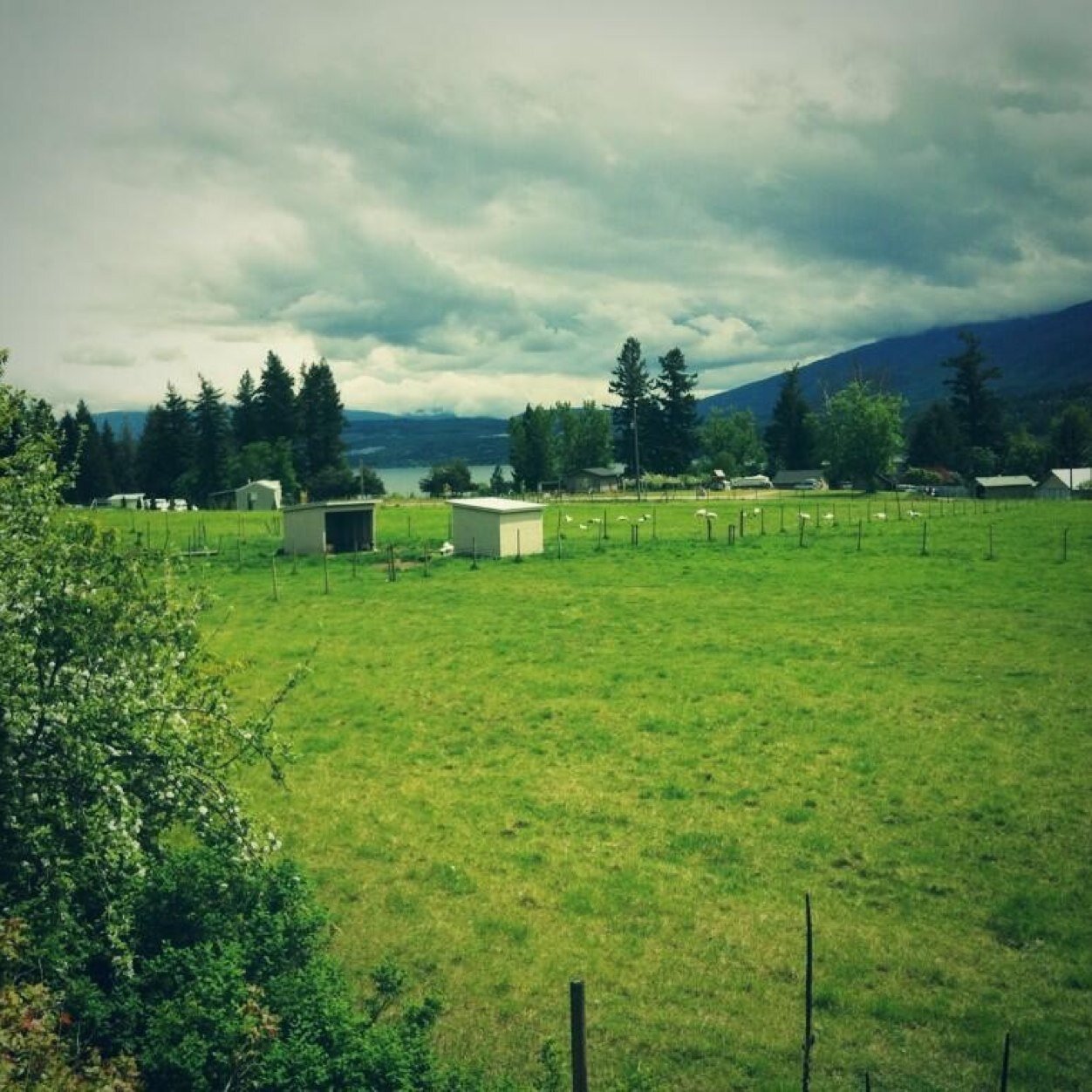 ax_nm's profile picture. 