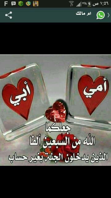 ‏القصيم /بريده