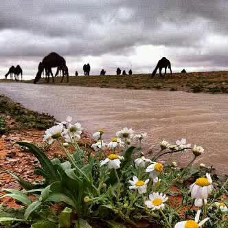 Life is sweet because I do not pleasant, but the   remembrance of Allah..