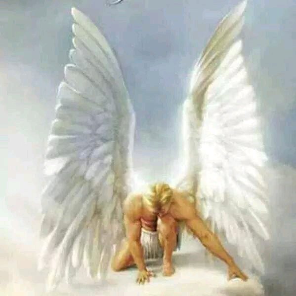 #unidos todos como hermanos#siempre en mi mente#sigueme&te sigo