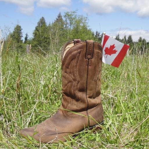 CanuckCountry's profile picture. Canadian country music quotes from a genuine Canadian man ;)