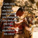 Efrain Caro - @puma283233 - Twitter