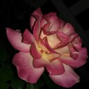 Kathy Ware - @kathyware0105 - Twitter