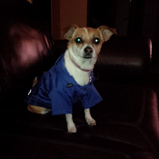 ju_greco19's profile picture. 