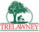 TrelawneyStudNZ Profile Picture