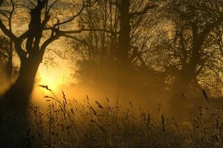 sue96mejorando's profile picture. mi verdadera sonrisa sale cuando estoy con tigo...