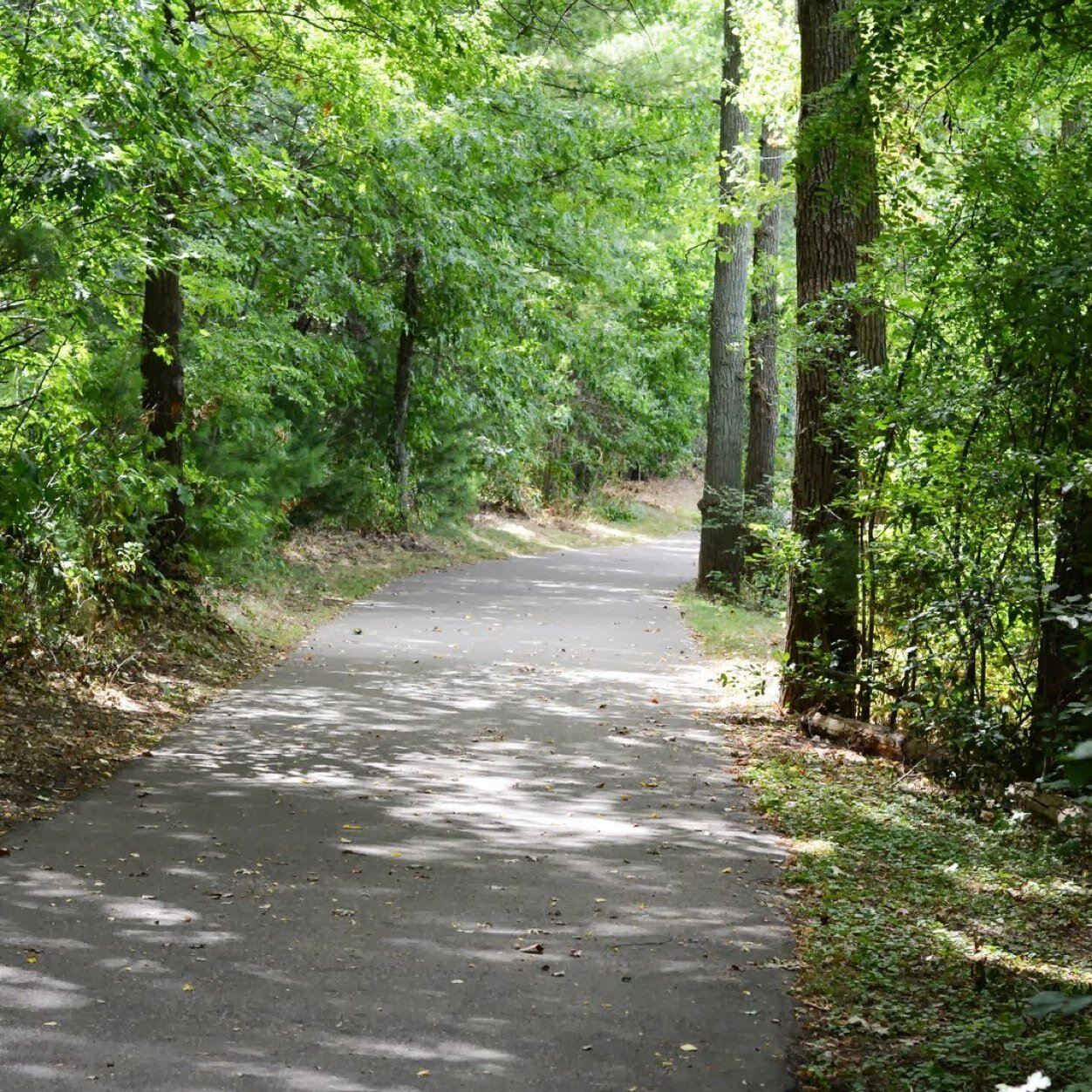 LivingWellQuest's profile picture. On a quest to simplify life, live well, and create healthy habits.