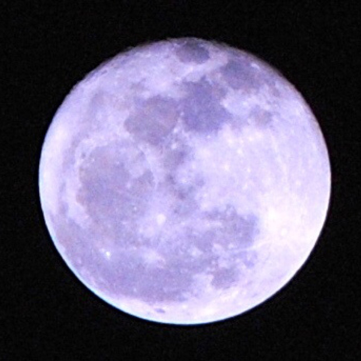 world1973's profile picture. 