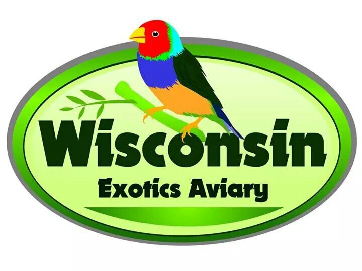 The healthy bird experts, 28 years in selecting the best products for your bird.