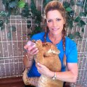 Anne Bauman - @anneb805 - Twitter