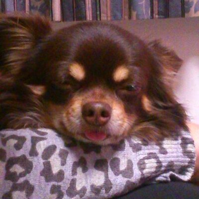 しわ しみ 消す 口コミ掲示板 sshiwashimi Twitter