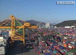 haseleeh's profile picture. 