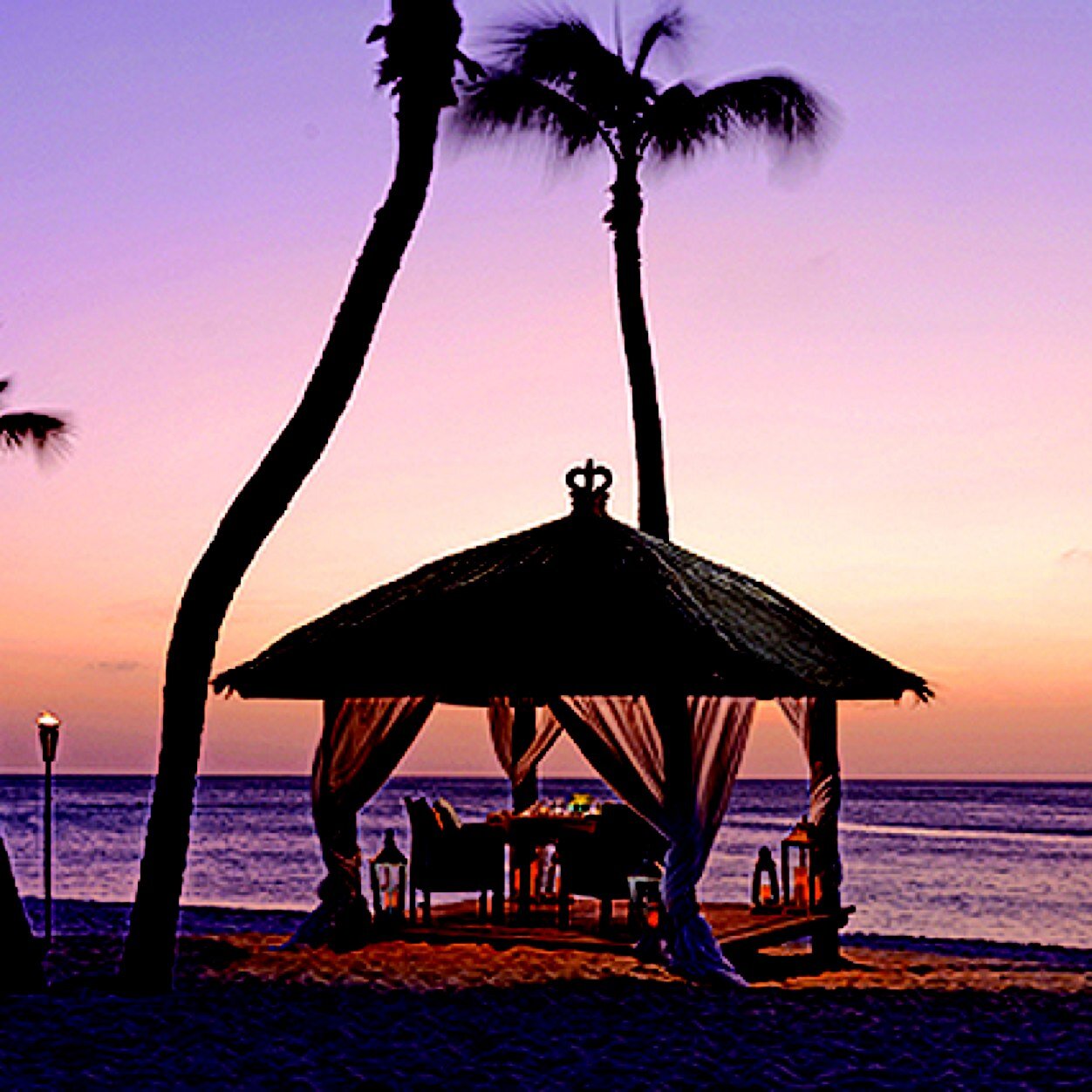 SESYYC's profile picture. Consultant Expert Wholesale Distribution & ERP Software, Love beaches and travel with my Al, wine snob & closet foodie!