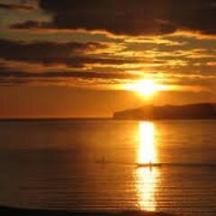 CashMoney_202's profile picture. If you want to know anything about me just ask me ,