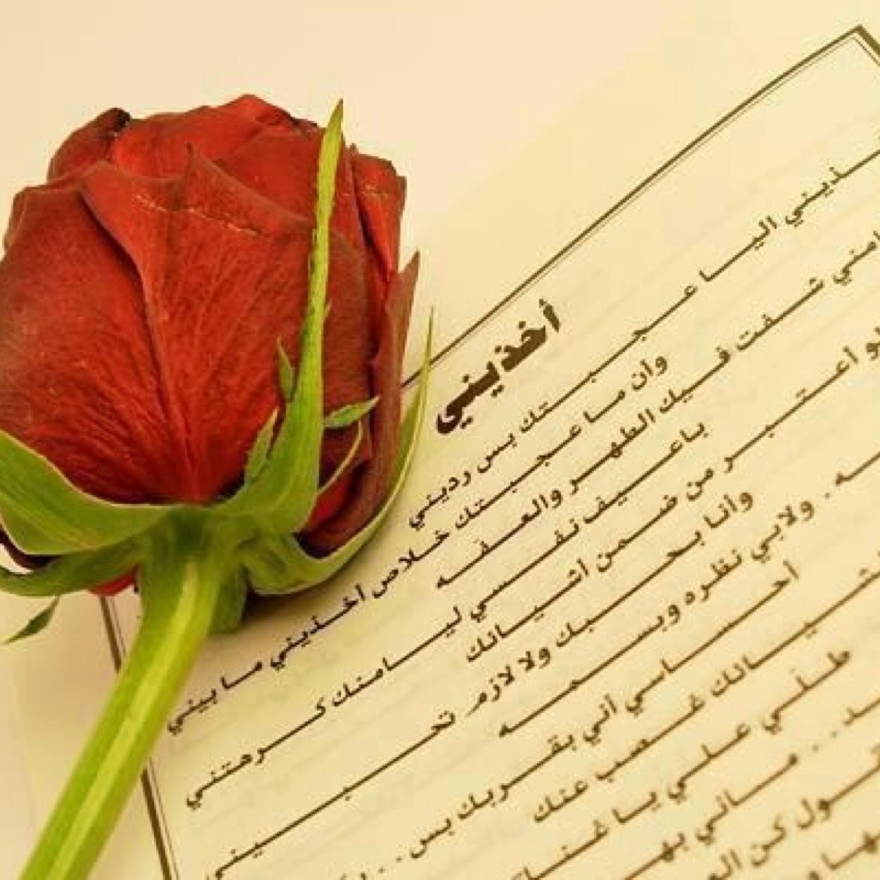 معلم غريب في احضان الوطن .. طفشان .. توصيل مشاوير