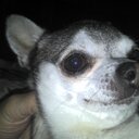 damian escobar - @damianesc81 - Twitter