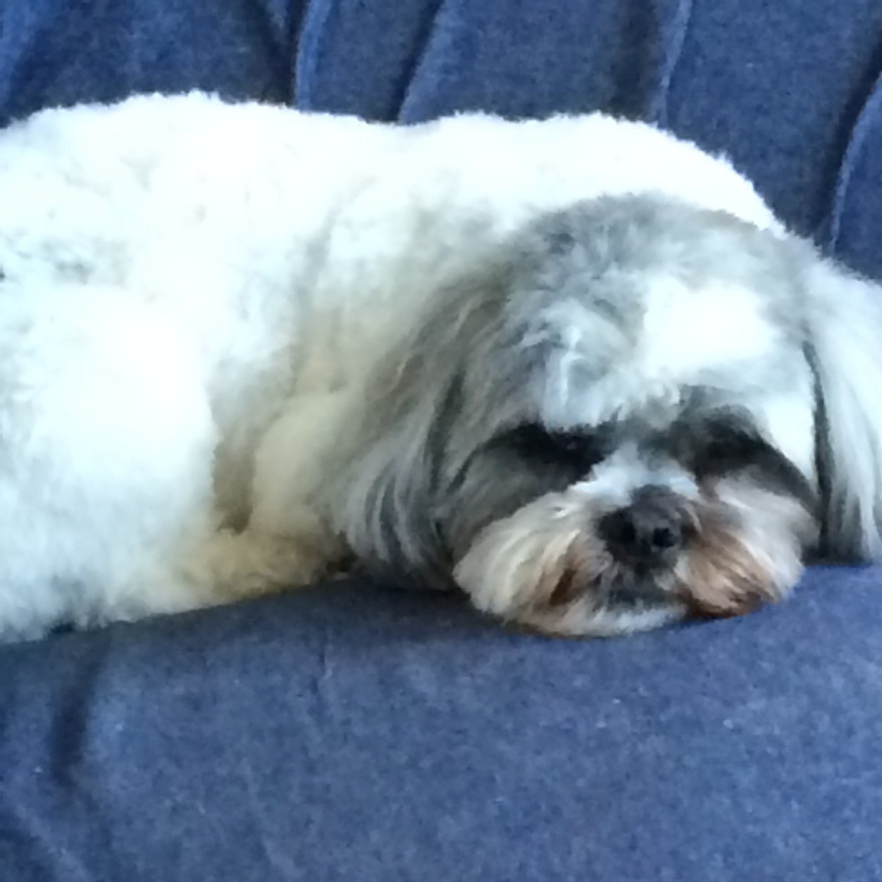 geveze32's profile picture. Married,Retired,Love Florida Winters and Love the Beach