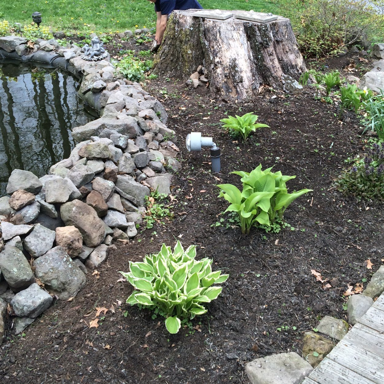 KSSLawnCare's profile picture. Grab a glass while we cut your grass! Our team of 4; Kaylor Kulina, Chad Stine, Jake & Jason Shellenberger lumber, mulch, weed, anything you need!