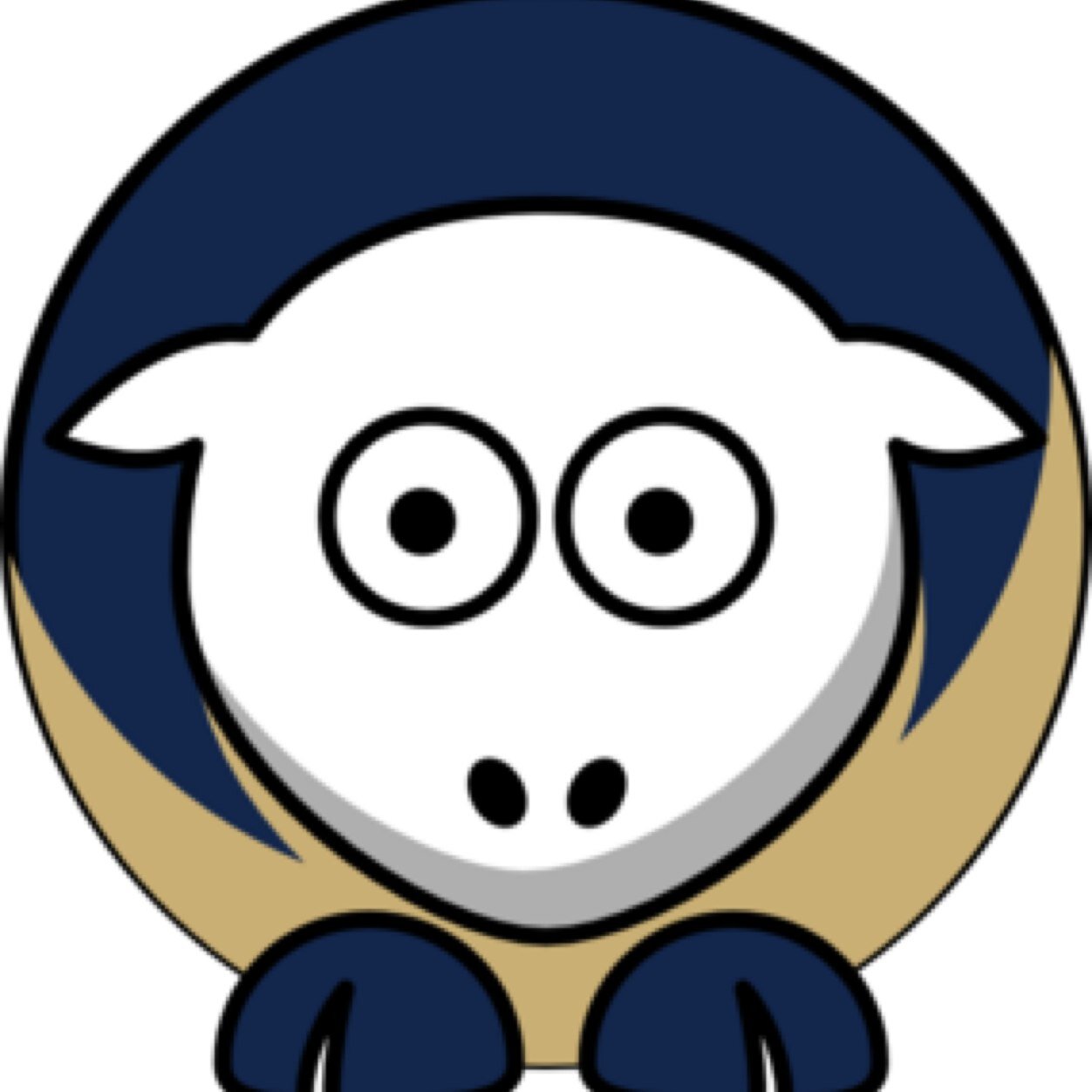 Rams fan before they moved back to LA