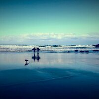 Andy Marinos (@marinosandy12) 's Twitter Profile