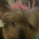 Debbie High - @debbie_high - Twitter