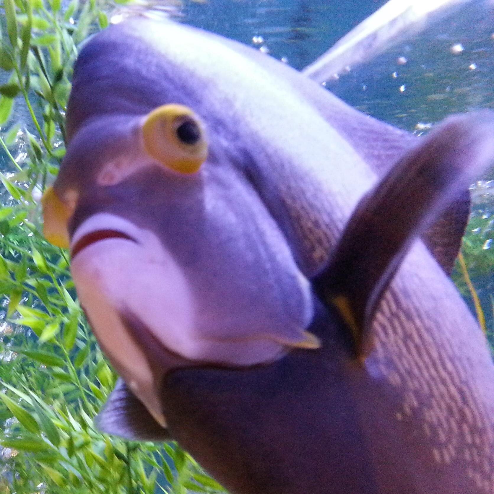 BeEnlightened2's profile picture. It's not about me. It's about us. It's about God. It's about time. CATHOLIC http://t.co/A43SVHlt69