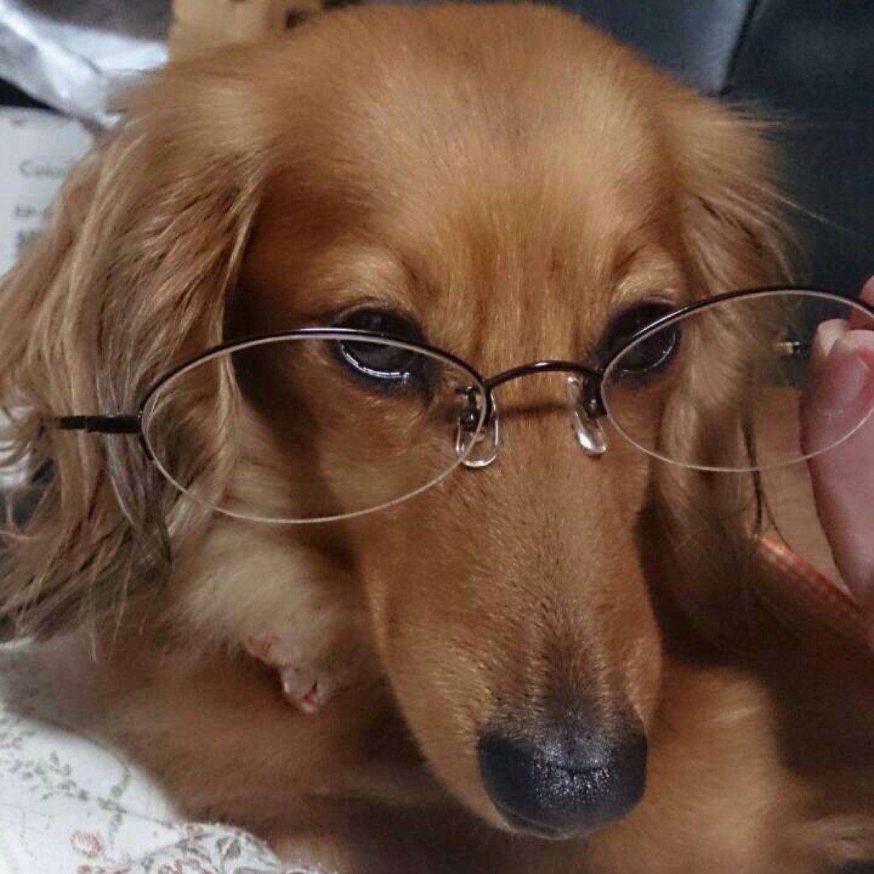 ⍢⃝ ⍤⃝ ⍥⃝ ⍨⃝