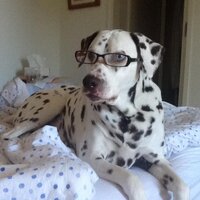 Paul Dickson (@pdicksonpaul) 's Twitter Profile