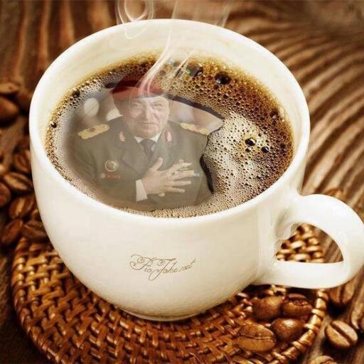 _car7267's profile picture. La visión sin acción es un sueño. Acción sin visión es simplemente pasar el tiempo. Acción con visión es hacer una diferencia positiva Socialista Revolucionaria