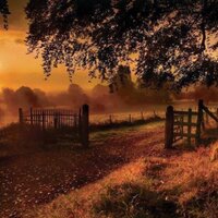 omseba2230 (@omseba2230) 's Twitter Profile