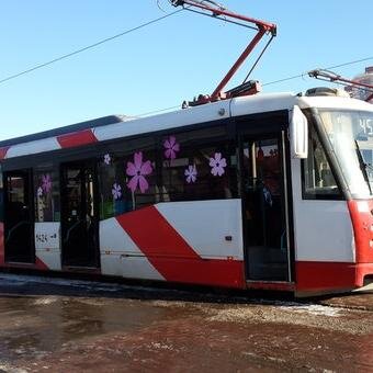 antosa87's profile picture. 