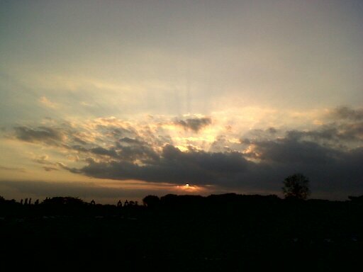 veniarchibald's profile picture. No longer on this acc, barely on