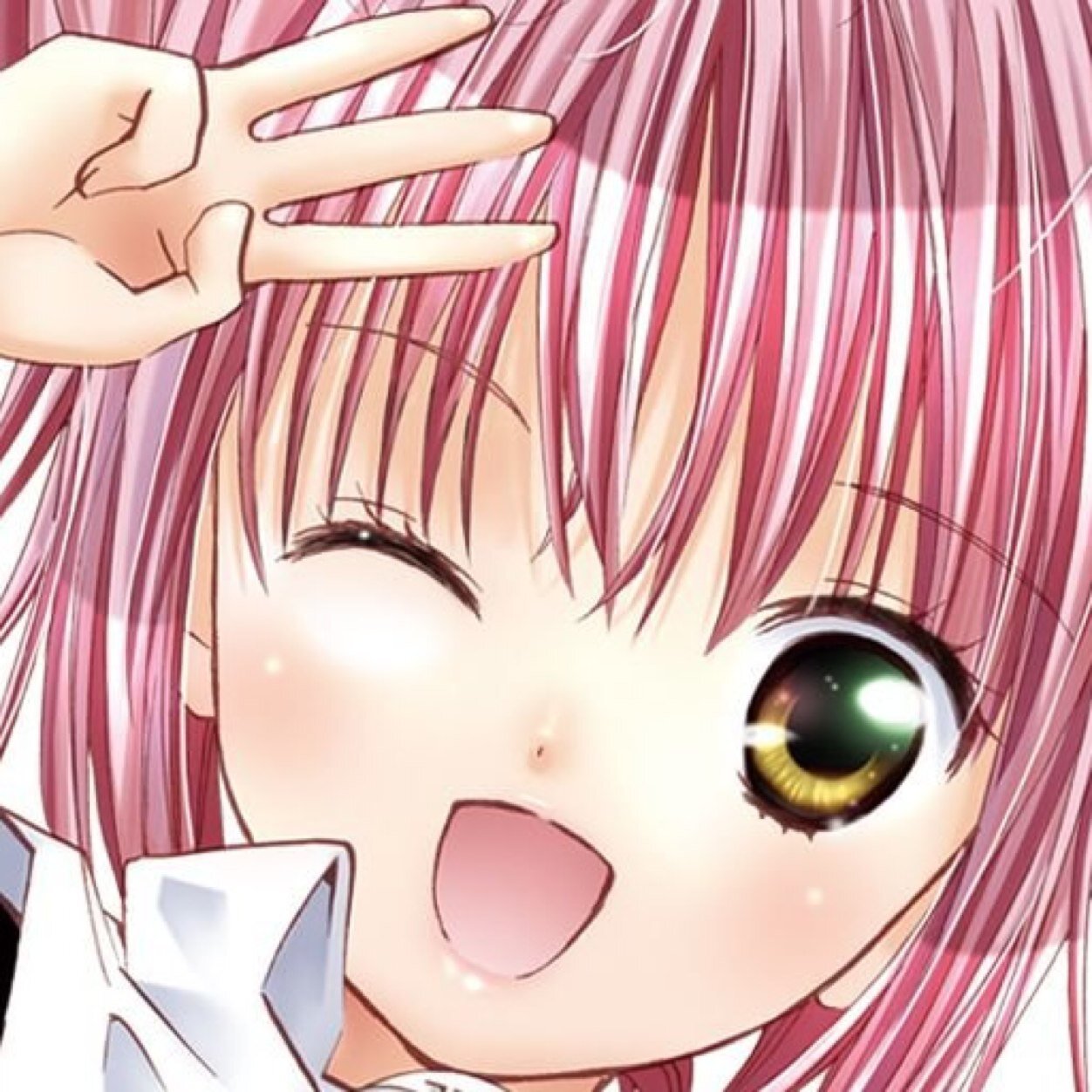 日奈森まどか カレンジュラまどかという花を今年も購入しました ３年前まどかマギカが放送された後キャラクターを同じ名前で気になったのをきっかけに毎年購入するようになりました 花の色がマミさんなのはちょっぴり残念ですが黄色系しかないので仕方