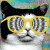 yep (@1xep) Twitter profile photo