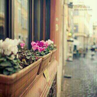 bbb9955951's profile picture. صّمُتّأِ فُمُأِ عّأِدً أِلُڳَلُأِمُ يّطِأِقً