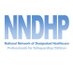 NNDHP (@nndhp) Twitter profile photo