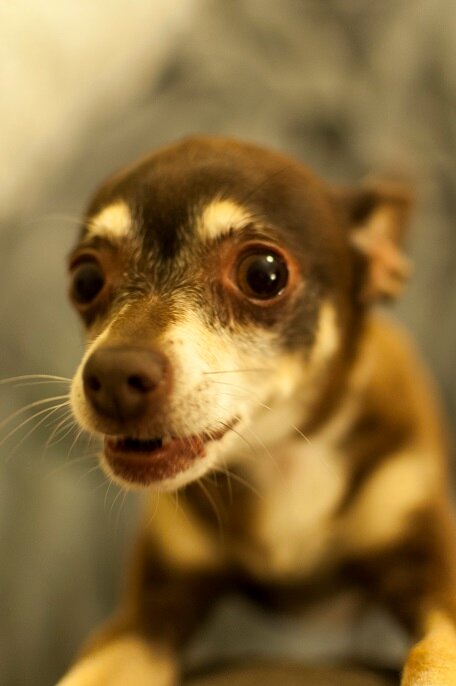 RascalAngela's profile picture. 