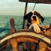 Salty Seadog (@simon_overseas) Twitter profile photo Salty Seadog (@simon_overseas) Twitter profile photo