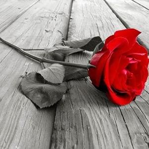 DeepPassion_'s profile picture. Il paradiso lo preferisco per il clima, l'inferno per la compagnia