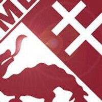 METZ FC  (@fcenligue1_fc) Twitter profile photo