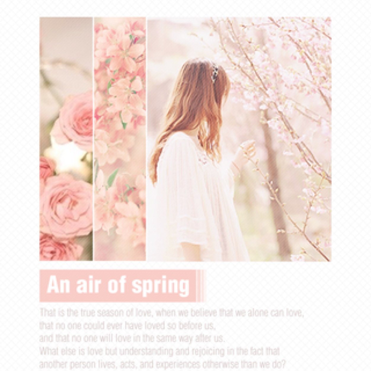 sskkkkristy's profile picture. 🌟