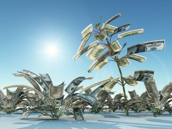 designforgrowth's profile picture. Taking a Holiday away from Twitter while i'm Making $450 day-to-day earning a living the web from my house. These visions actually came up reality.