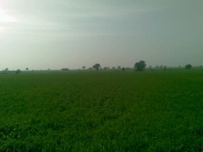 future_gaon's profile picture. 