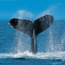 Jose Clavell - @Elclavell24Jose - Twitter