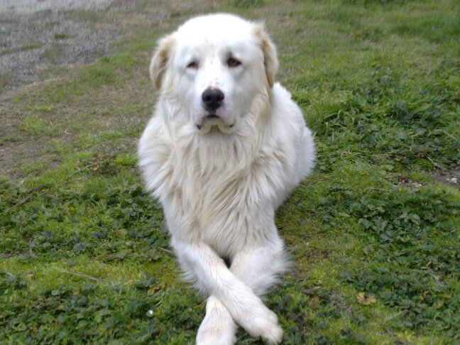 giuseppe180971's profile picture. 