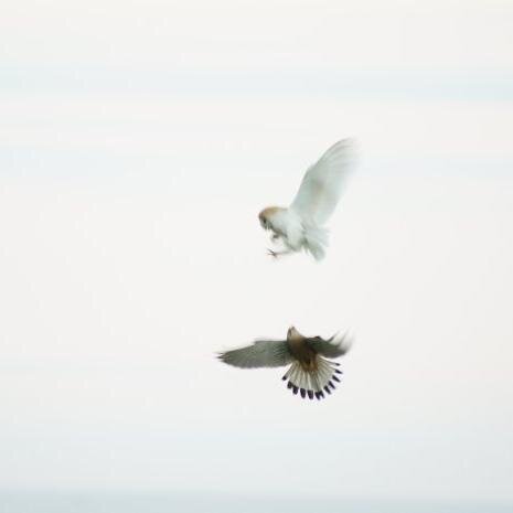 Freelance Photographer and Biker. All photographs except retweets are my copyright ;) also on Facebook 
https://t.co/Szoqa6kASB