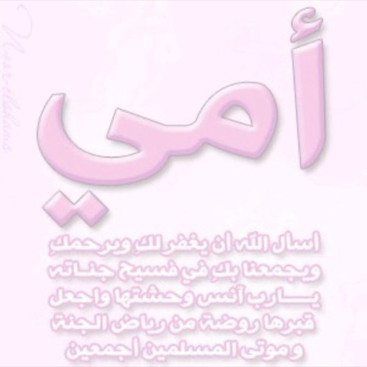 noufsaad2013 Profile Picture